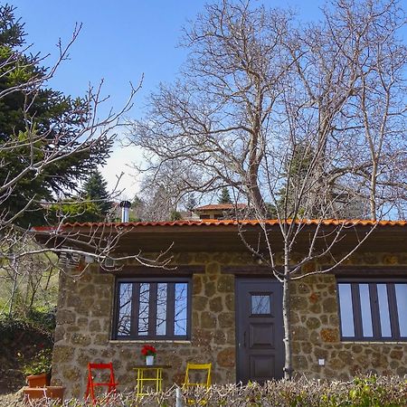 Γήλοφος Villa อาโน ตริคาลา ภายนอก รูปภาพ